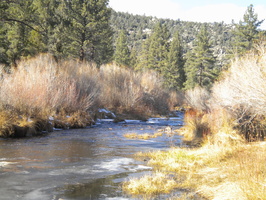 DSCN9477.JPG